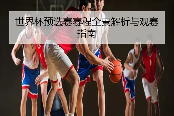 世界杯预选赛赛程全景解析与观赛指南